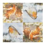 Esschert Design Papier servetten roodborst/eekhoorn (TP213