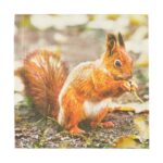 Esschert Design Papier servetten roodborst/eekhoorn (TP213