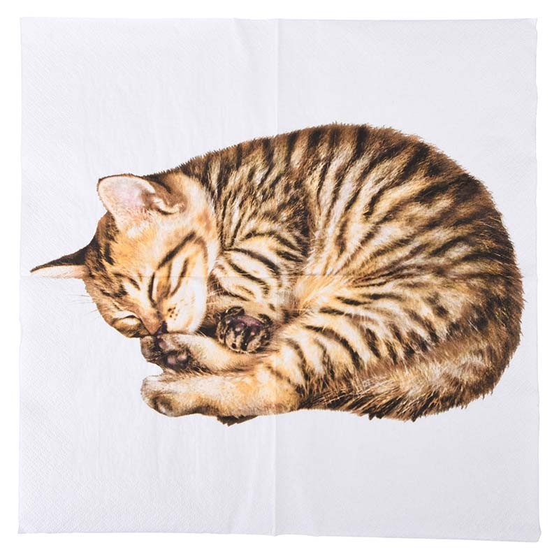 Esschert Design Papierservietten Katze 33x33cm (TP285