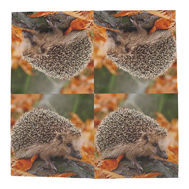 Esschert Design Paper napkins hedgehog 33x33cm (TP304