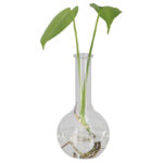 Esschert Design Flachbodenkolben S (AGG148 8714982273599) - 2