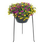 Esschert Design Blumentopf Standard Ø 25 cm S (BPH200 8714982283512) - 2