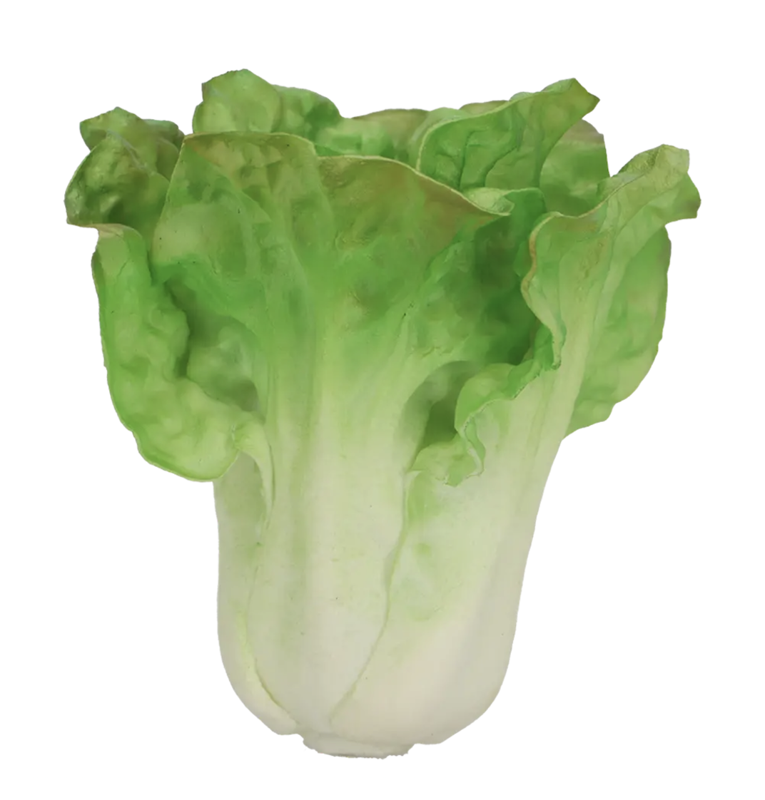 Esschert Design Kopfsalat – Bild 2