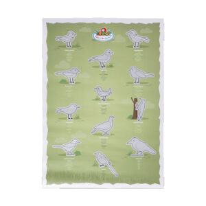 Esschert Design Rubbelposter Vögel (KG373) B 42.7 X T 0.1 X H 60 cm, Barcode 8714982293269, Material 96% Papier, 4% CPP, Gewicht 0,048 kg