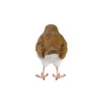 Esschert Design Robin (37000560