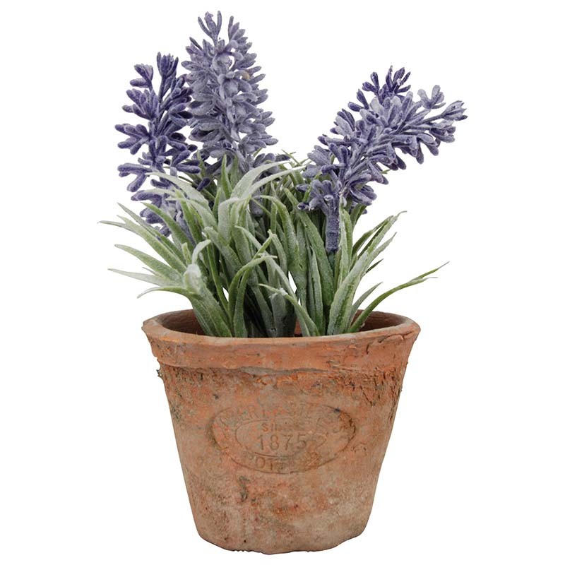 Esschert Design Lavender in Aged Terracotta pot Small (AH009