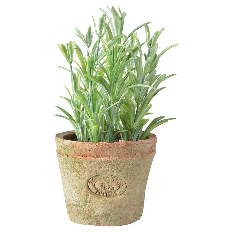 Esschert Design Rosemary in Aged Terracotta pot Small (AH011