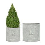 Esschert Design AM lion round flower pots set/2 (AM107