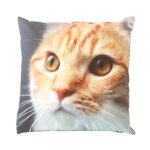 Esschert Design Buitenkussen poes S keuze (BK021