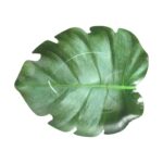 Esschert Design Paper plate leaf shape set/8 (C2107