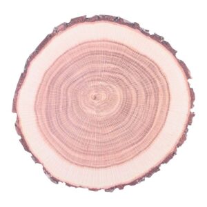 Esschert Design Place mats paper tree trunk set/10 (C2109