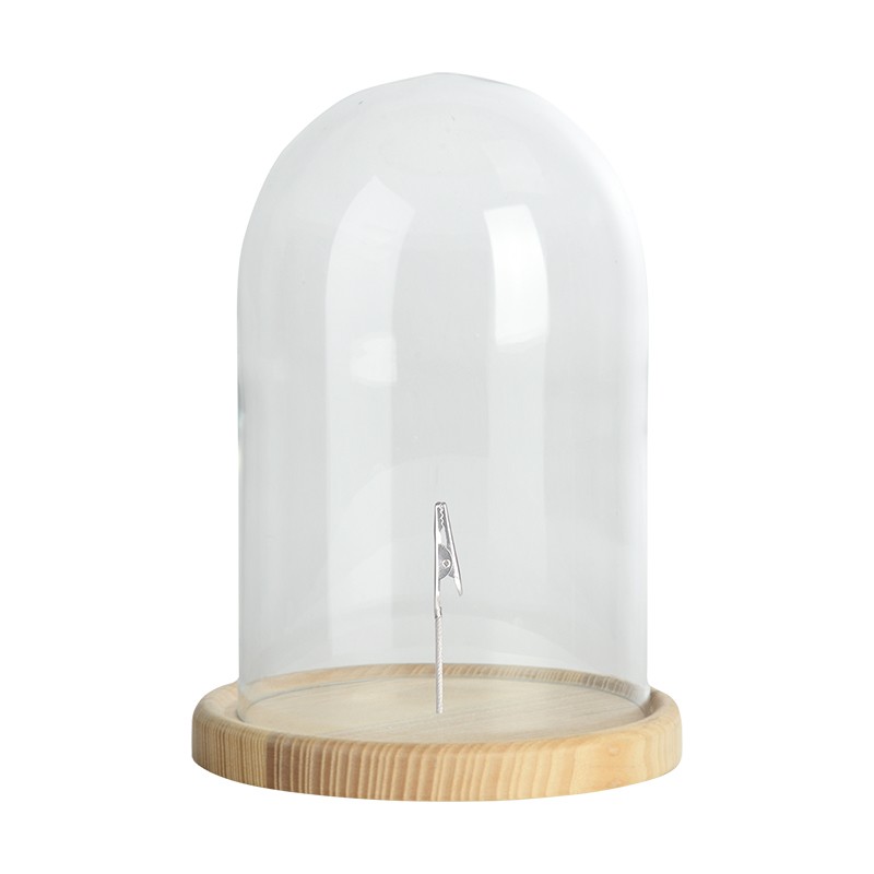Esschert Design Glass cloche on wooden base S (FH013