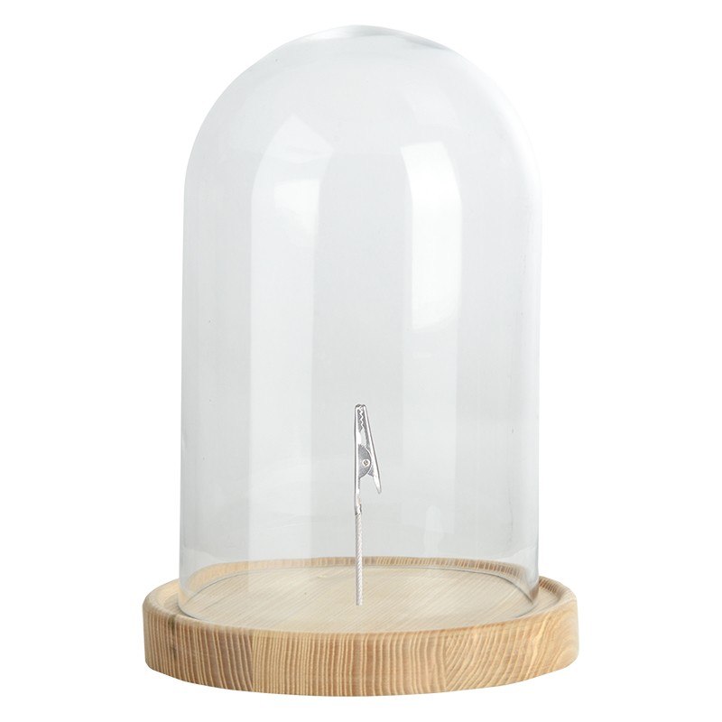 Esschert Design Glass cloche on wooden base L (FH014