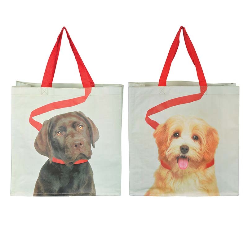 Esschert Design Shopping bag dog on leash (TP196
