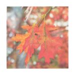 Esschert Design Paper napkins toadstool/leaves (TP214