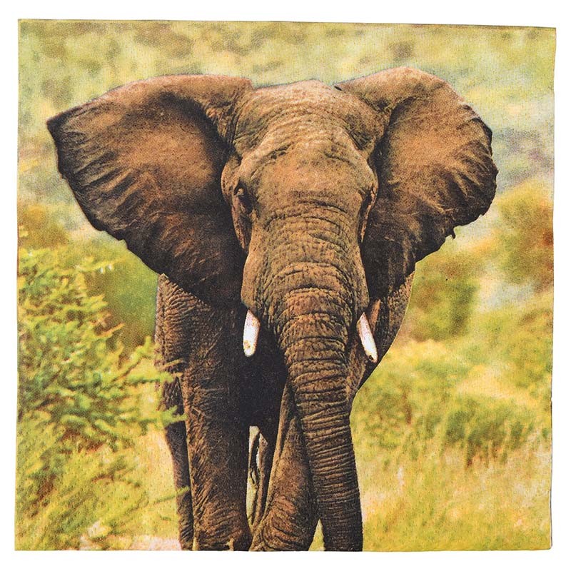 Esschert Design Paper napkins elephant 33x33cm (TP283