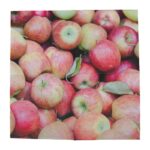 Esschert Design Paper napkins apples 33x33cm (TP303