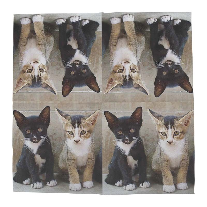 Esschert Design Paper napkins cats 33x33cm (TP305