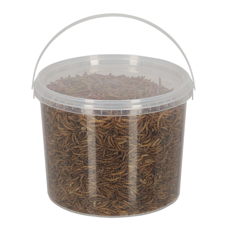 Esschert Design Dried mealworms 0