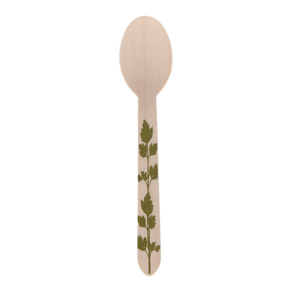 Esschert Design Wooden disposable spoon green set/20 | Trends & Vision (C2149) - 01