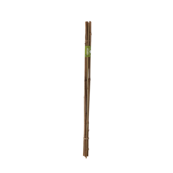 Esschert Design Bamboo stick 90cm 8-10mm set/8 (GT323) - 02