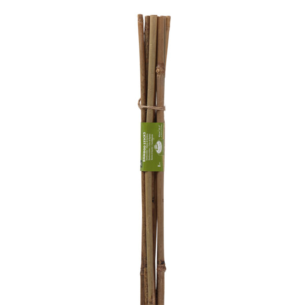 Esschert Design Bamboo stick 90cm 8-10mm set/8 (GT323) - 03