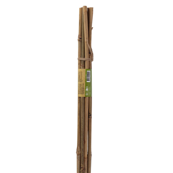 Esschert Design Bamboo stick 90cm 8-10mm set/8 (GT323) - 04