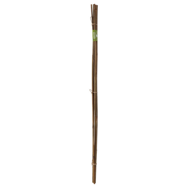 Esschert Design Bamboo stick 120cm 10-12mm set/6 (GT324) - 02