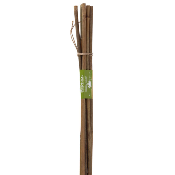 Esschert Design Bamboo stick 120cm 10-12mm set/6 (GT324) - 03