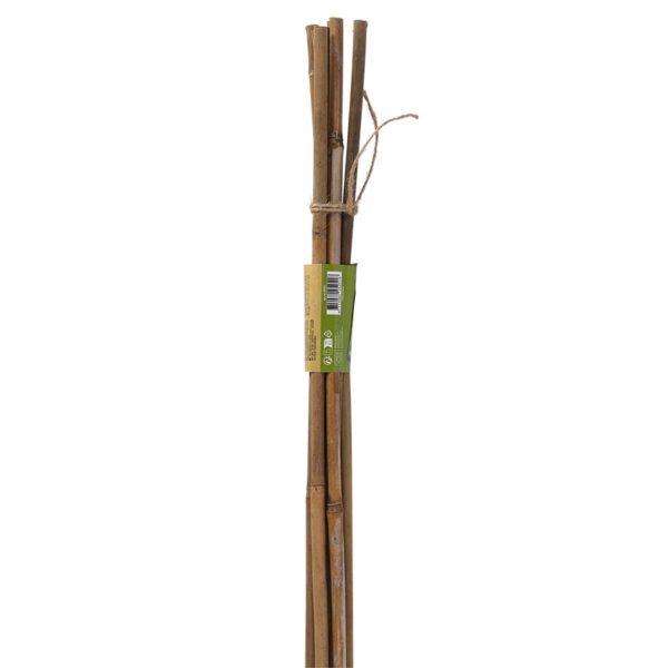 Esschert Design Bamboo stick 120cm 10-12mm set/6 (GT324) - 04