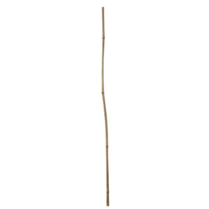 Esschert Design Bamboo stick 180cm 14-16mm set/4 (GT326) - 01