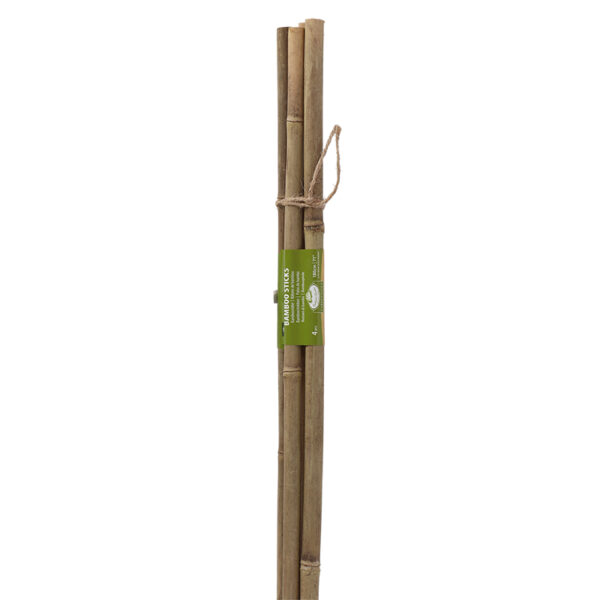 Esschert Design Bamboo stick 180cm 14-16mm set/4 (GT326) - 03