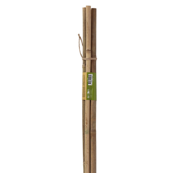 Esschert Design Bamboo stick 180cm 14-16mm set/4 (GT326) - 04