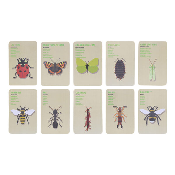 Esschert Design Explorer bag insects | Trends & Vision (KG310) - 04