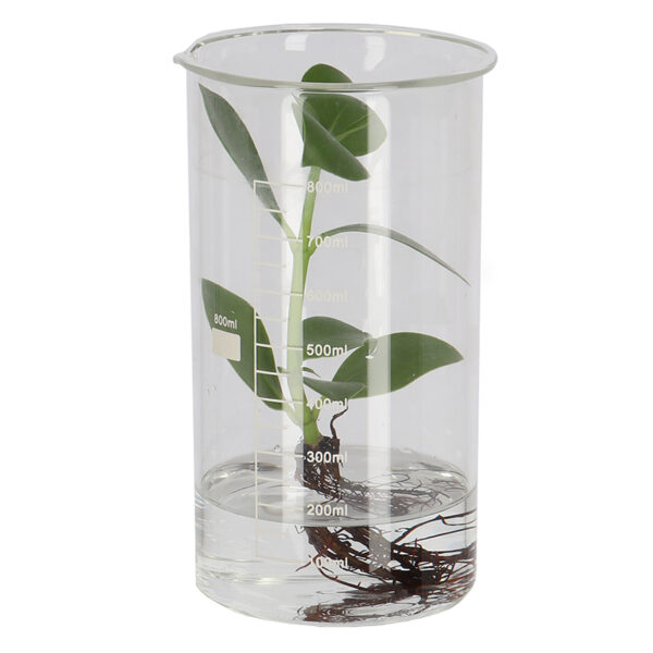 Esschert Design Berzelius beaker S (AGG150 8714982273612) - 2