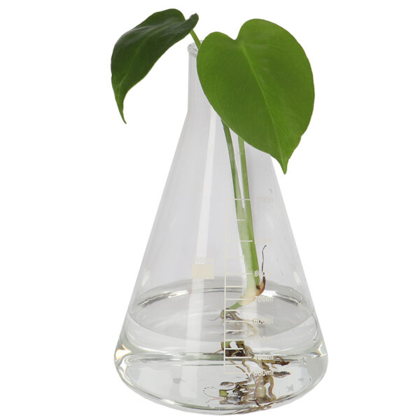 Esschert Design Erlenmeyer flask S (AGG154 8714982273650) - 2