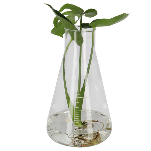 Esschert Design Erlenmeyer flask XXL (AGG155 8714982273667) - 2