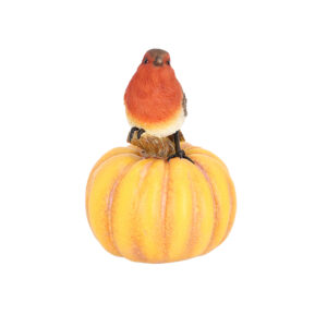 Esschert Design Robin on pumpkin (37000663 8713968379560) - 01