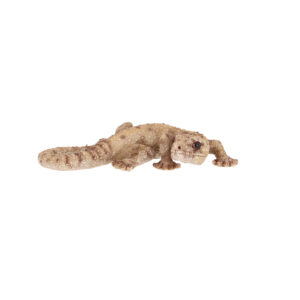 Esschert Design Lizard S (37000667 8713968379607) - 01