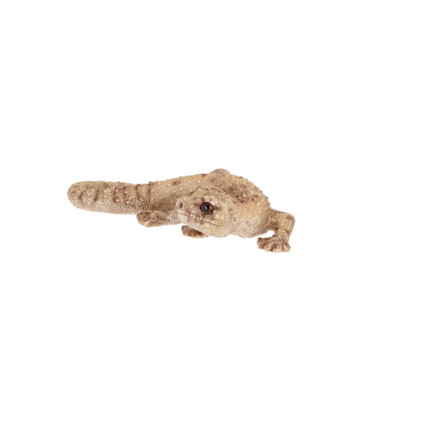 Esschert Design Lizard S (37000667 8713968379607) - 03