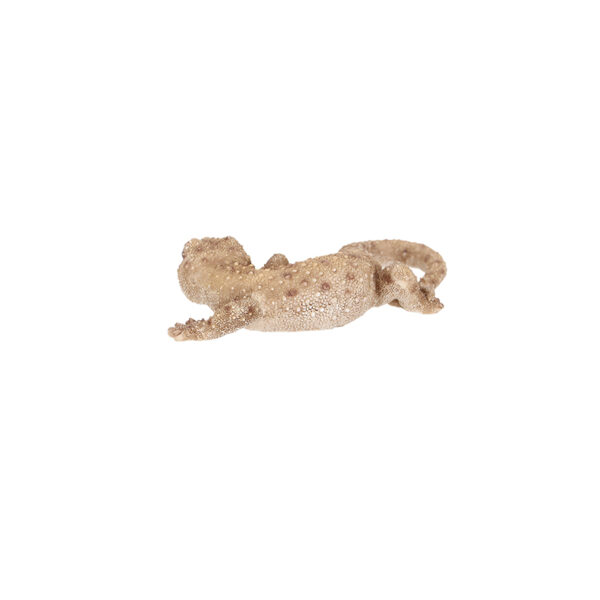 Esschert Design Lizard S (37000667 8713968379607) - 05