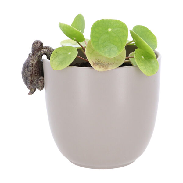 Esschert Design Flower pot hanger turtle (37000674 8713968379676) - 04