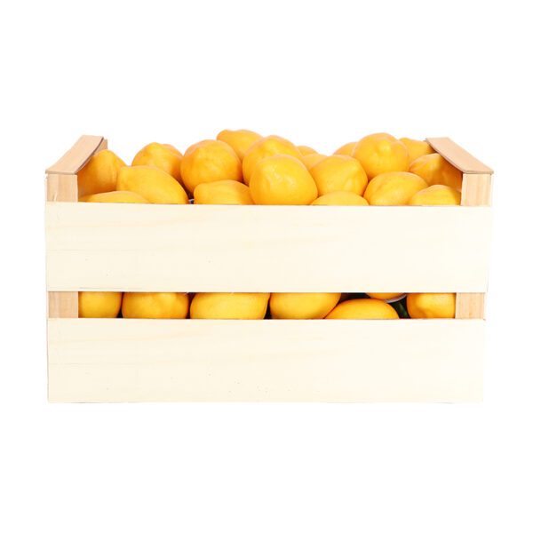 Esschert Design Lemon (AH040 8714982291821) - 01