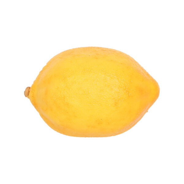 Esschert Design Lemon (AH040 8714982291821) - 02