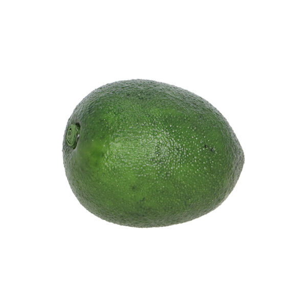 Esschert Design Lime (AH041 8714982291838) - 02