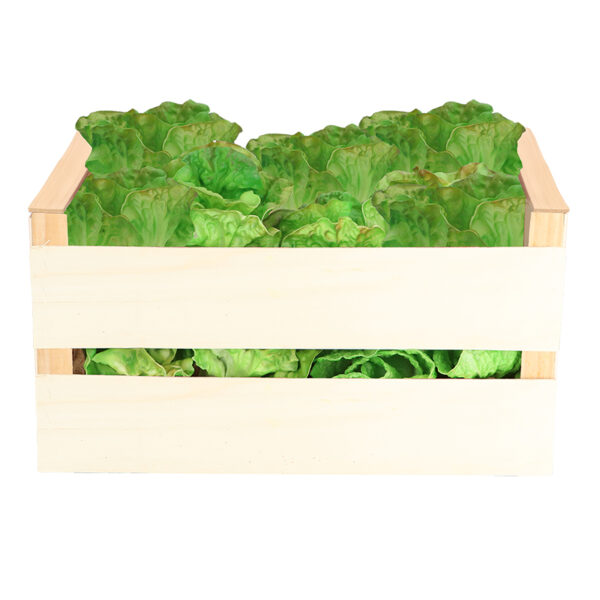 Esschert Design Lettuce (AH045 8714982291876) - 01