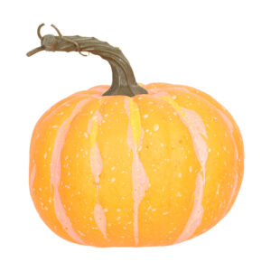 Esschert Design Pumpkin L (AH048 8714982291906) - 01