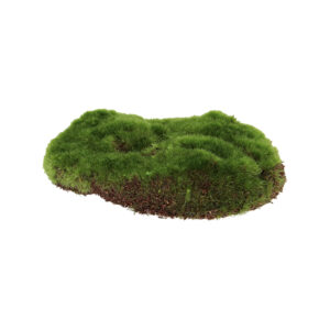 Esschert Design Artifical moss S (AH051 8714982297571) - 01