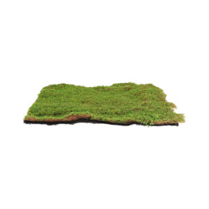 Esschert Design Artifical moss L (AH052 8714982297588) - 01