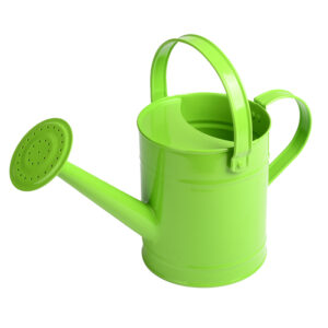 Esschert Design Childrens watering can green (KG402 8714982299995) - 01